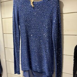 Blue Sparkly Sweater